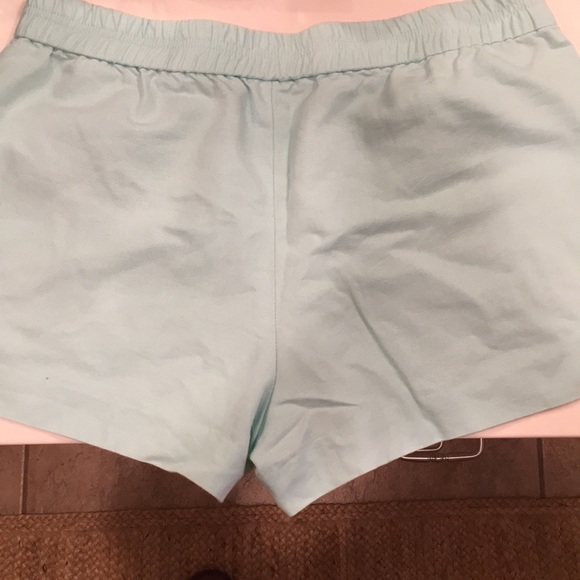 MINT colored J.Crew Shorts with Pockets - Picture 2 of 5